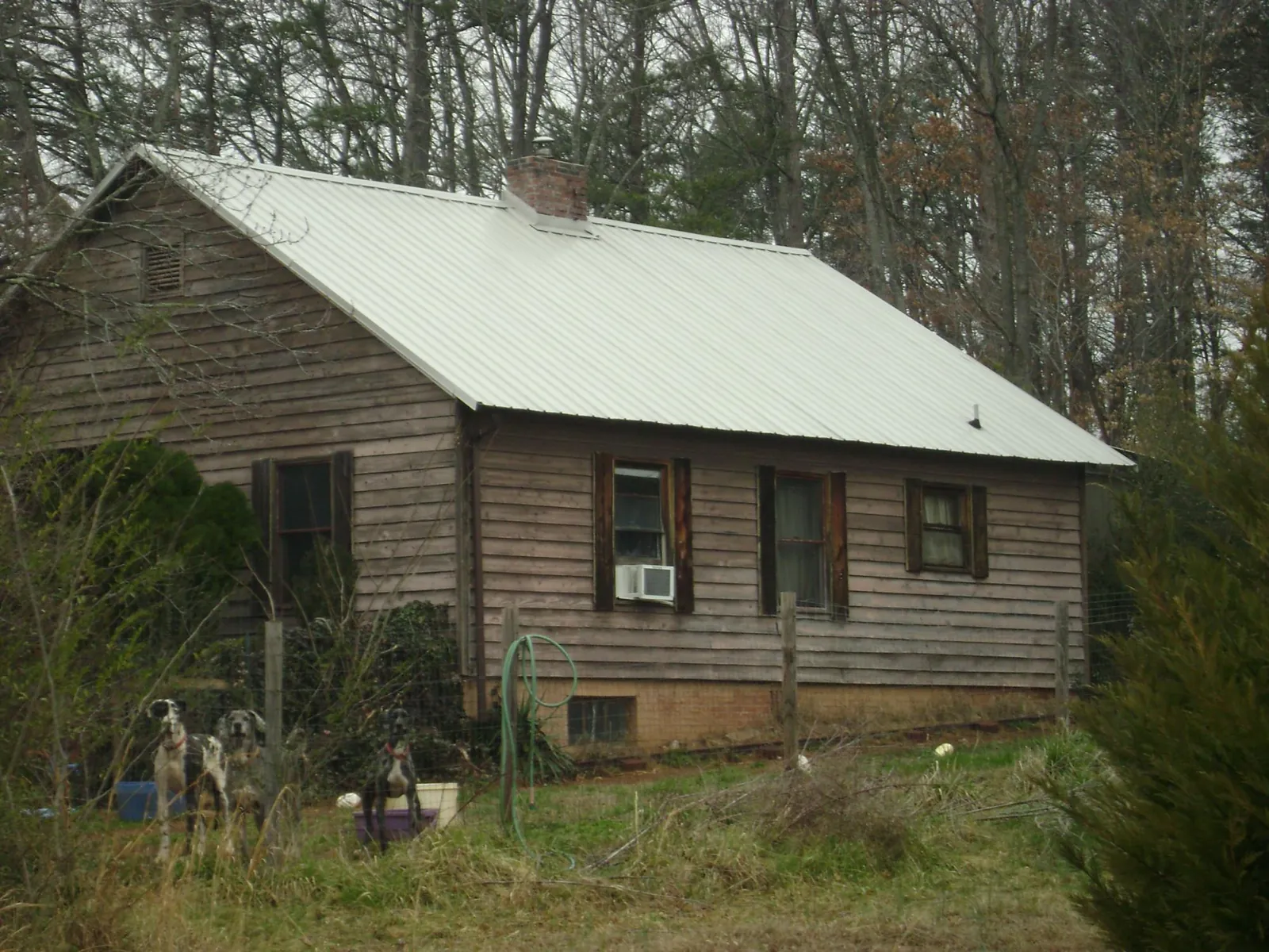 White metal roof on an old wood sided farmhouse, from a Metal Roof Installation job in Fromberg